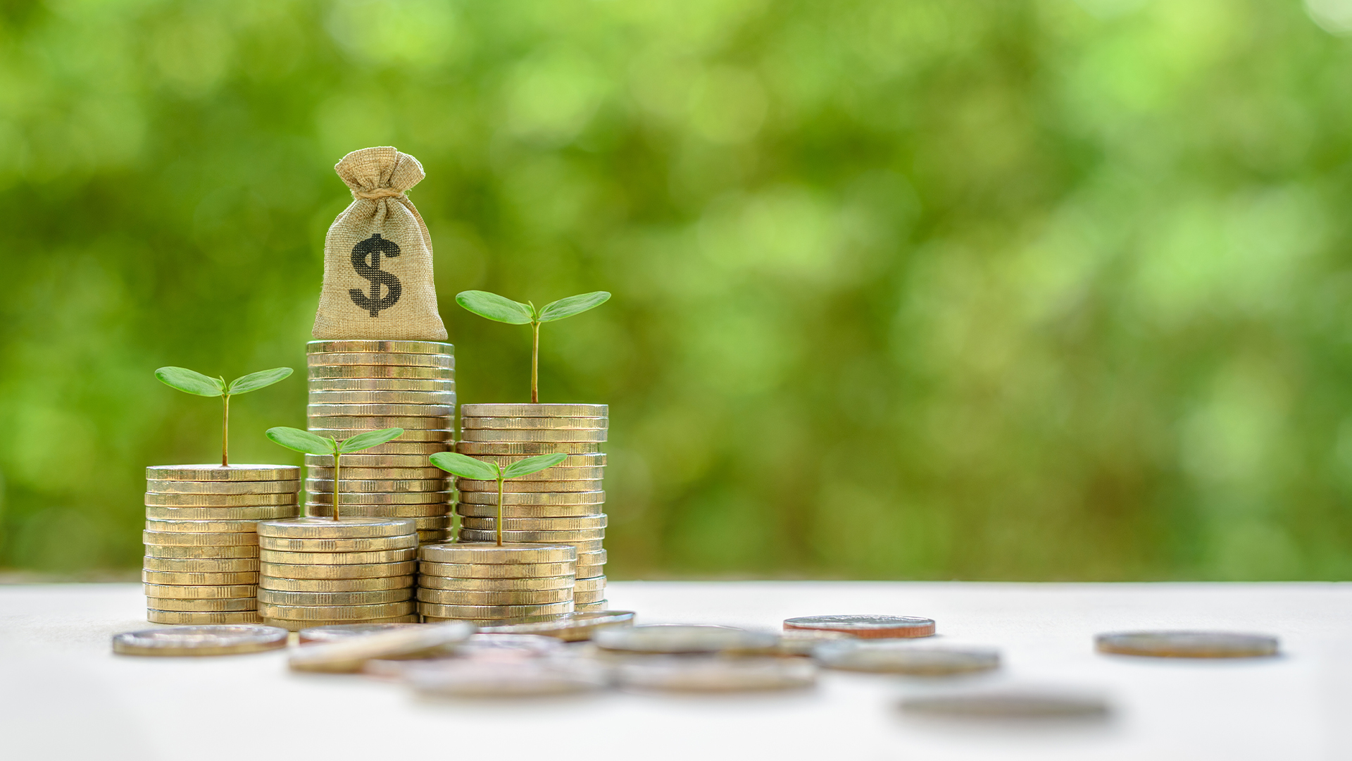Sustainable Loans